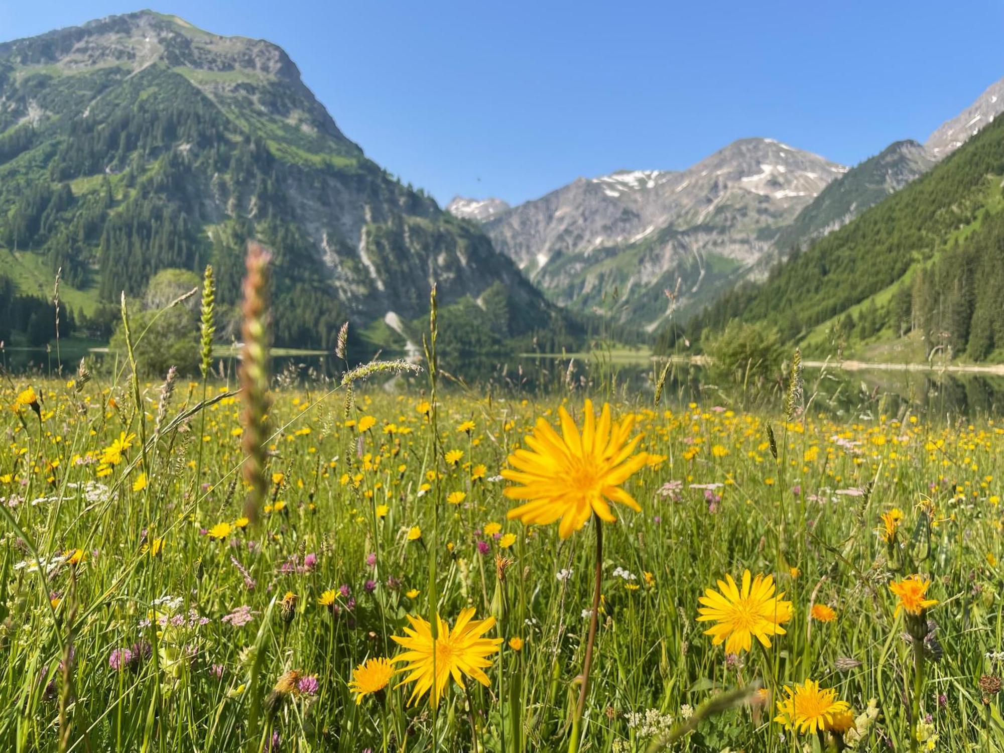 Alpenhotel Sonneck - Mit Bergbahnticket Bad Hindelang Bagian luar foto